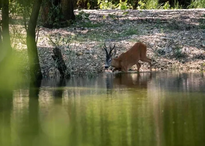 In Near And Pool Apartament *