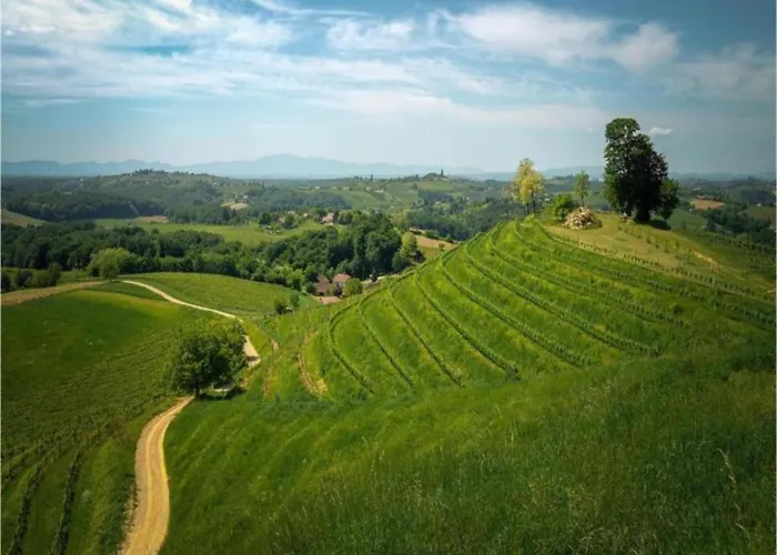 In Near And Pool Apartament